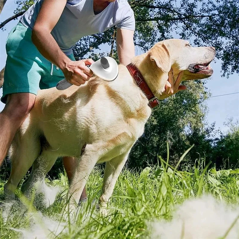 Brosse Auto-Nettoyante Anti-Poils pour Chiens & Chats